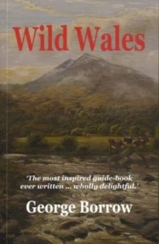 Image of Wild Wales by George Borrow Paperback