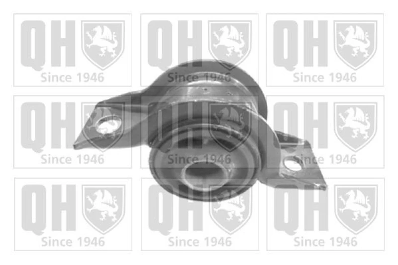 Image of QUINTON HAZELL Trailing arm / Suspension arm bush QUINTON HAZELL EMS8253