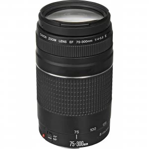 Image of Canon EF 75 300mm f4 5.6 III Lens