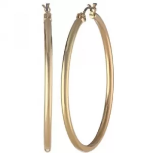 Image of Hoop Pierced Ears Earrings