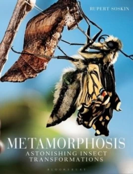 Image of Metamorphosis by Rupert Soskin Hardback