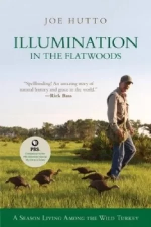 Image of Illumination in the Flatwoods by Joe Hutto