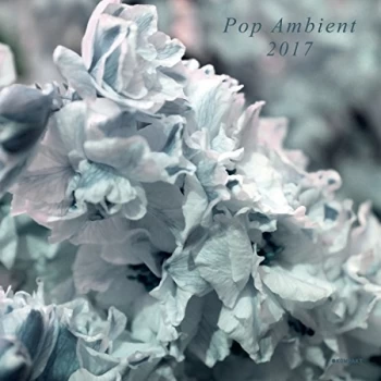 Image of Various Artists - Pop Ambient 2017 Vinyl