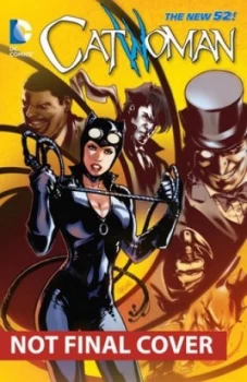 Image of Catwoman. Vol. 4 Gotham Underground by Ann Nocenti Paperback