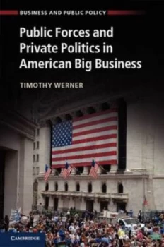 Image of Public Forces and Private Politics in American Big Business by Professor Timothy Werner Hardback