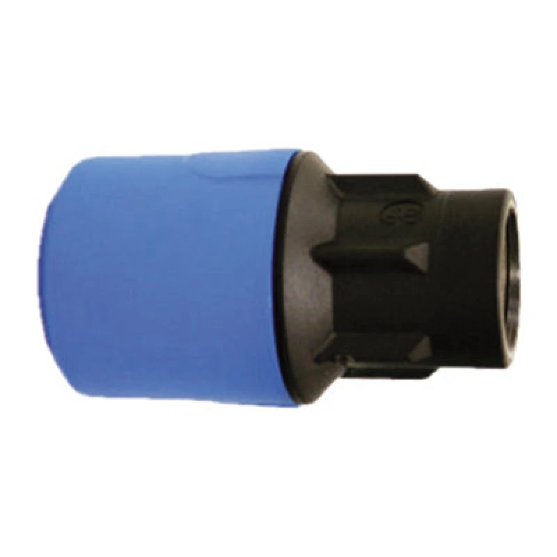 Image of John Guest Blue Adaptor 25mm X 3/4" Female UG4502B Blue
