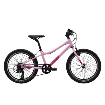 image of Pinnacle Ash 20" Kids Bike - Pink