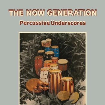 Image of Peter L&uuml;demann / Pit Troja - The Now Generation Vinyl