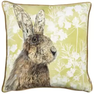 Image of Manor Hare Cushion Natural, Natural / 43 x 43cm / Polyester Filled