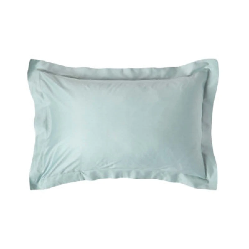Image of Homescapes Duck Egg Blue Organic Cotton Oxford Pillowcase 400 TC Duck Egg Blue