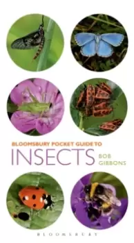 Image of Pocket Guide to Insects