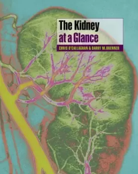 Image of The kidney at a glance by Chris O′Callaghan