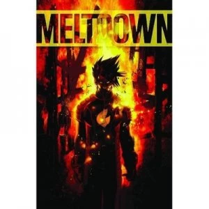 Image of Meltdown by David B. Schwartz Paperback