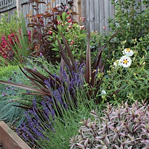 Image of Garden On A Roll Wildlife Border Pack 9m x 90cm Plants