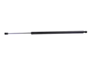 image of RIDEX Tailgate strut VW 219G0953 7E0827550D