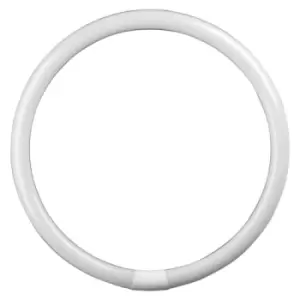 Image of Crompton Lamps Fluorescent T9 Circular 22W 4-Pin Cool White FC22W/840