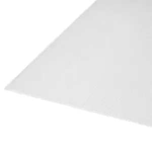 Roof Pro Clear Polycarbonate Twinwall Roofing Sheet (L)2M (W)1000mm (T)10mm