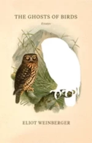 Image of ghosts of birds