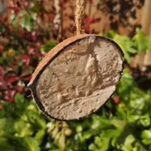 image of Pack of 3 Wild Garden Bird Suet and Seed filled Coconut Feeder Half with Hanging String - Tom Chambers