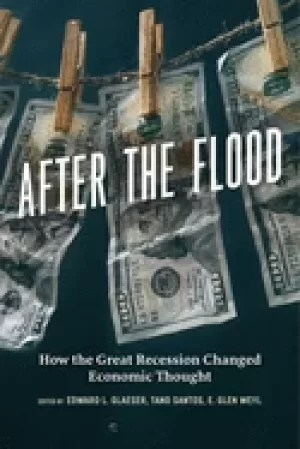 Image of after the flood how the great recession changed economic thought
