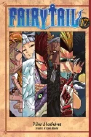 Image of fairy tail v17