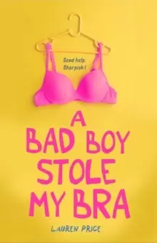Image of A Bad Boy Stole My Bra