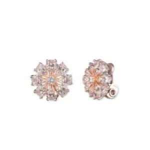 image of Ladies BASIC AK ROSE GOLD Earrings