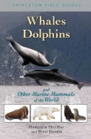 Image of whales dolphins and other marine mammals of the world