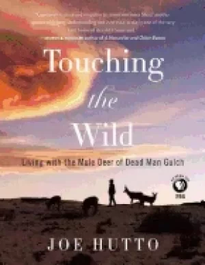 Image of touching the wild living with the mule deer of deadman gulch