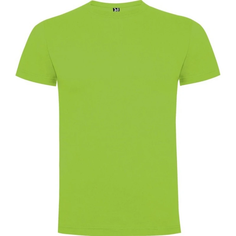 Image of ROLY ROLY Men Dogo Premium T-Shirt in Dark Olive Size: Small Dark Olive S Male 5063574583039