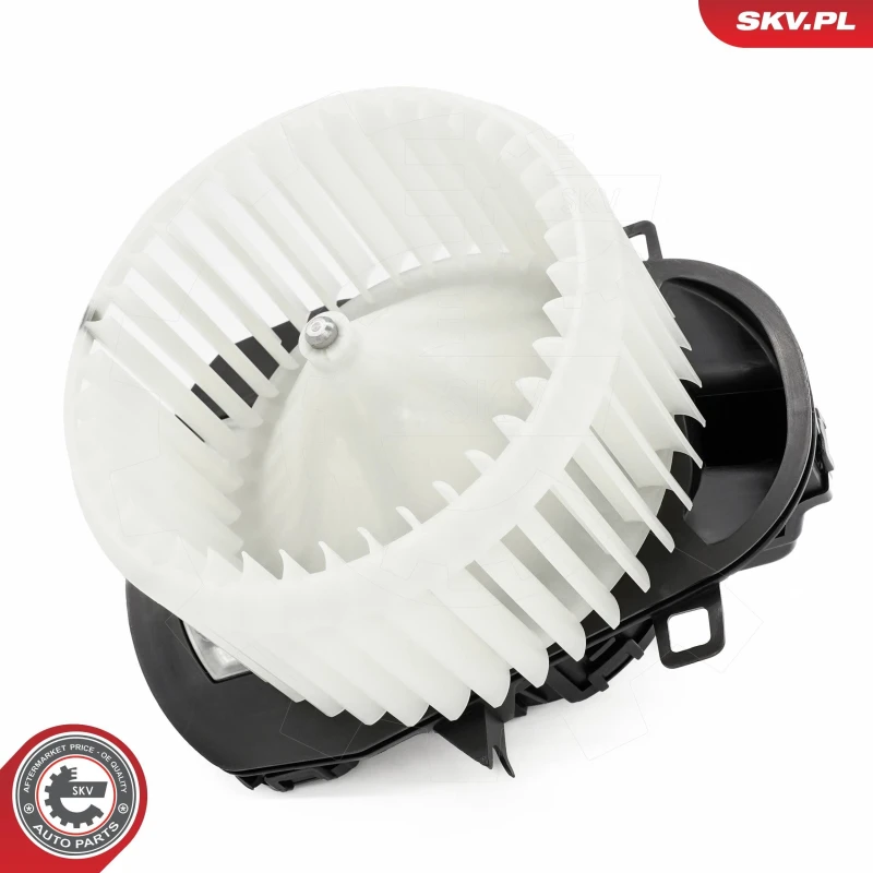 Image of ESEN SKV Blower motor ESEN SKV 68SKV220