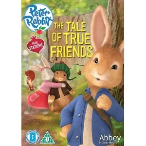 Image of Peter Rabbit: The Tale Of True Friends DVD