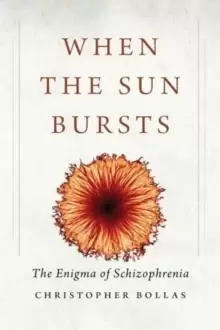 Image of When the Sun Bursts : The Enigma of Schizophrenia