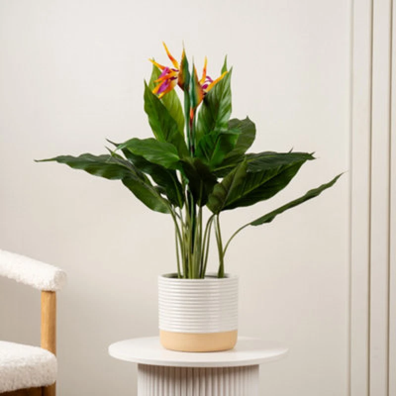 Image of Scottish Everlastings Ltd. Scottish Everlastings 83Cm Artificial Bird Of Paradise Tree With Flower