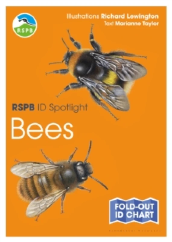 Image of RSPB ID Spotlight - Bees Fold-out book or chart