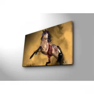 Image of 4570NTVC-4 Multicolor Decorative Canvas Painting