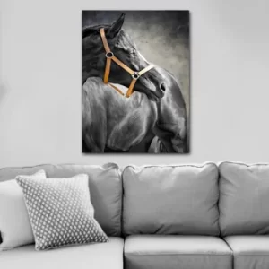 Image of 107345045_70100 Multicolor Decorative Canvas Painting