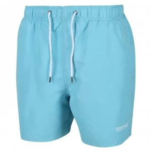 Image of Regatta Mawson II Swim Shorts - Maui Blue