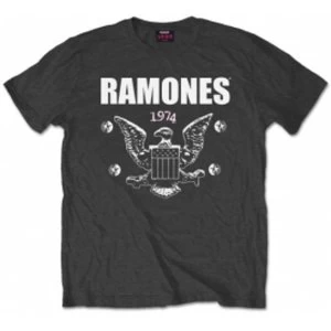 Image of Ramones 1974 Eagle Mens Charcoal T Shirt: Large