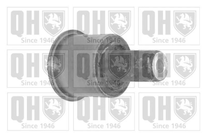 Image of QUINTON HAZELL Trailing arm / Suspension arm bush QUINTON HAZELL EMS8260
