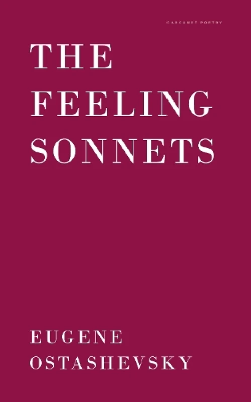 Image of The Feeling Sonnets Paperback / softback
