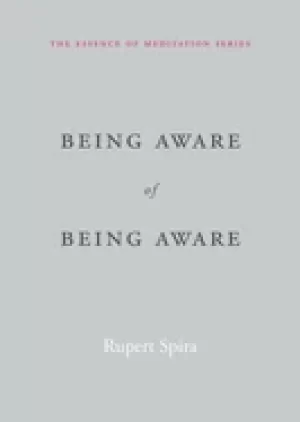 Image of being aware of being aware