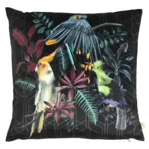 Image of Zinara Birds Cushion Black