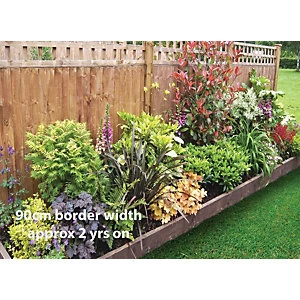 Image of Garden On A Roll Mixed Shady Border Pack 3m x 60cm Plants
