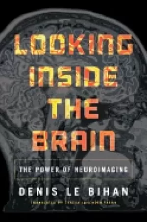 Image of looking inside the brain the power of neuroimaging