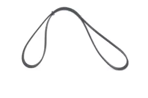 Image of Bosch V-ribbed belt 1 987 945 731 Serpentine belt,Auxiliary belt VW,AUDI,SKODA,Golf V Schragheck (1K1),TOURAN (1T1, 1T2),Passat Variant (3C5)
