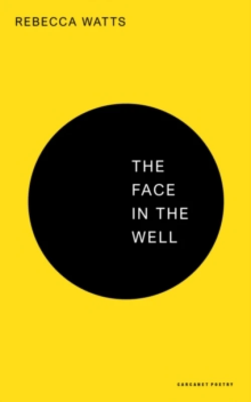 Image of The Face in the Well Paperback / softback