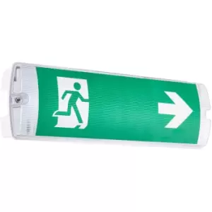 Image of Outdoor Emergency Exit Bulkhead Light - Daylight White LED - Self Test Function