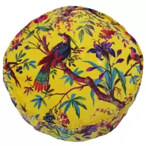 image of Paradise Velvet Round Cushion Yellow, Yellow / 50 x 12cm / Cover Only