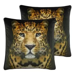 image of Paoletti Cheetah Portrait Twin Pack Polyester Filled Cushions Black